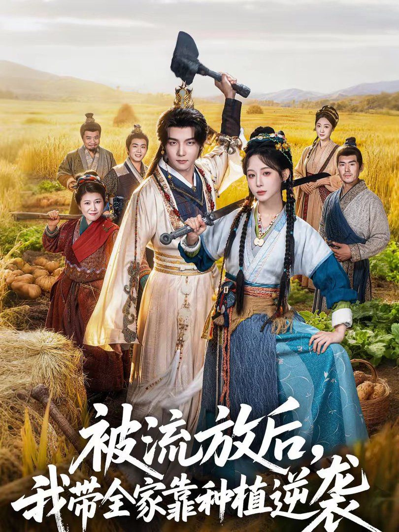 交配软件