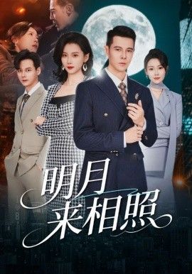 明月来相照，裂痕之上的新生