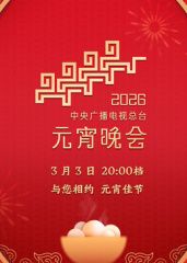 2026年中央广播电视总台元宵晚会