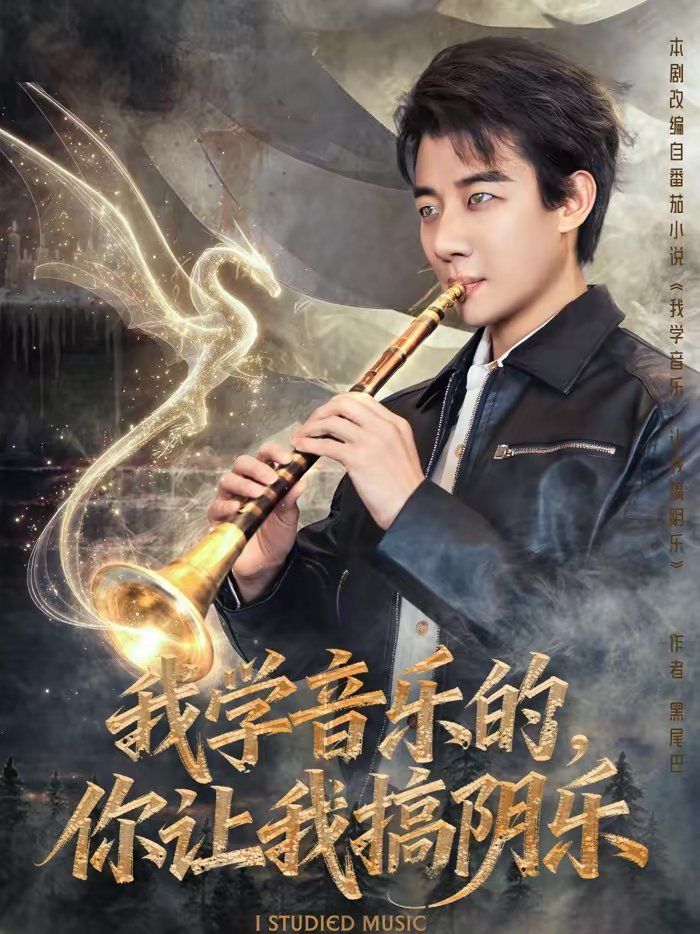 我学音乐的，你让我搞阴乐