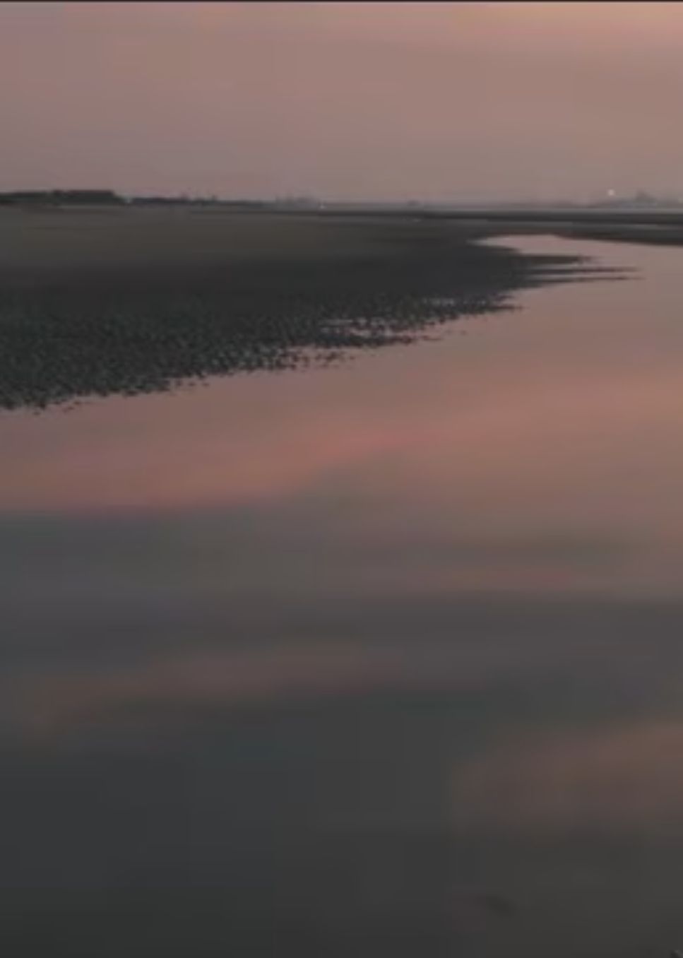 两个爸爸的故事​